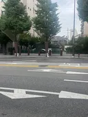 은행열매 민원 대비