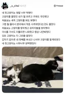 너무 착하고 완벽했던 첫째 고양이.jpg