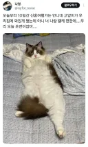 어이 집사 동생 사료 줘