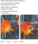 물고기 먹이주는 사촌오빠.jpg