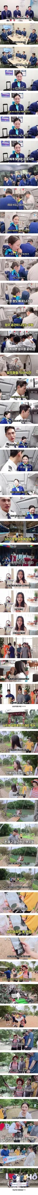 여승무원 1명과 남승무원 5명의 비행