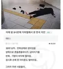 한국 치안 수준이 어느 정도냐면