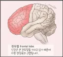 전두엽 손상 입었을 때 나타나는 증상