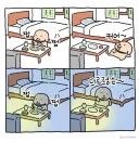 현재 유게이들 상황