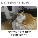 한 친구만 유독 잘먹은 것 같다