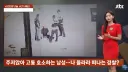 순찰차 빼달라고 했다가 경찰에 폭행 당했다는 사장님 ㄷ