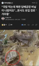 [뉴스공유]국밥 먹는데 북한 담배공장 비닐이 나왔어요