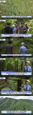 축구 경기장 70개 면적의 산을 산 이유
