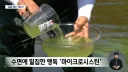 낙동강 녹조 숨기고 싶어 환경부