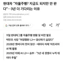 현대차: 사실 우리 자율주행 지금도 되긴 하는데 안팜 ㅎㅎㅎ