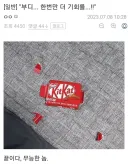 "부디... 한번만 더 기회를...!"