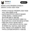 계곡에서 쓰러진 여학생에게 CPR했다가
성범죄로 고소당한 소방관 지망생.jpg