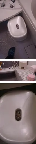 고양이 목욕시키려고 했더니
