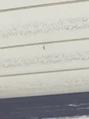 어이 인간. 똥 그만 싸고 나가라