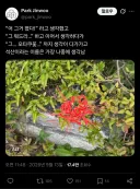 오타쿠꽃이라고 불리는 식물.twit