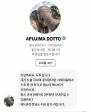 무한도전 아프지마 도토 잠보 근황