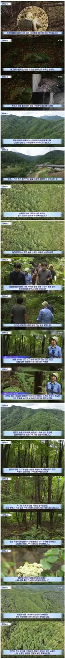 수십억 들여 숲 사놓고 아무것도 안 한 이유.news