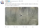 문재인도 sns에 이런거 하나쯤 올려줘야하는데