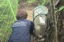 어르신이 동네고양이 살핀 5개월…2380건 모니터링 '성과'