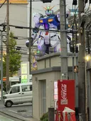 일본도 예쁜 ㅊㅈ들이 많아졌어요