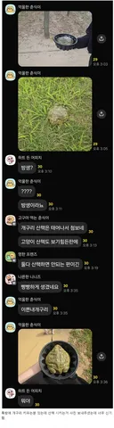 개구리 산책하는거 첨 봄