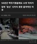 50년간 임신 못한 악어커플의 슬픈 이유...