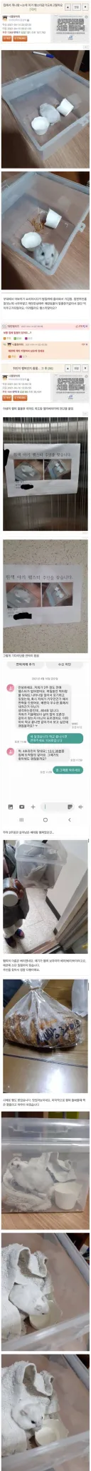 집에 출몰한 흰쥐의 정체.jpg