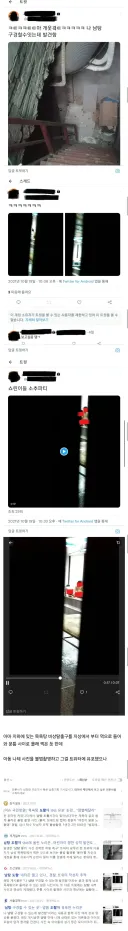 남자 아동 나체 몰카를 당당히 공유하고도 아무일 없이 넘어간 사건