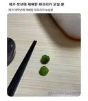제가 작년에 재배한 파프리카 보실 분