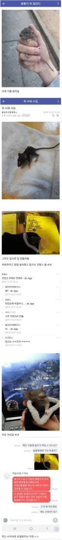 쥐 잡은 디시인.jpg