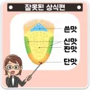 의외로 전세계 사람들이 잘못 알고있었던 상식