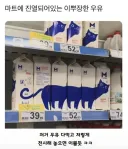 마트에 진열되어있는 이쁘장한 우유