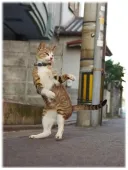 "나는 유게의 정령"