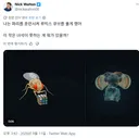 요즘 화제인 가상의 초파리 뇌 시뮬레이션