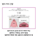 별의 커비 근황