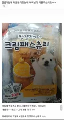 며느리 아침밥 개밥으로 준 시어머니.jpg