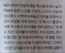 페르시안 고양이 탄생 설화.jpg