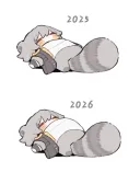 라쿤🦝을 1년 동안 키우면 생기는 일
