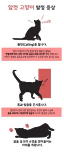 의외로 수인캐릭터가 2차창작에서 피하기 힘든 설정