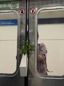 다음차 안타면 죽는병 걸린 빌런.jpg