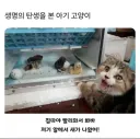 과연 이 이야기는 어떻게 결말이 날까?