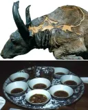 5만년 전 소고기를 요리해먹은 과학자.JPG