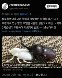 기자 : 그러니까 풍뎅이 리얼돌이랑 발정제를 만드신거군요?