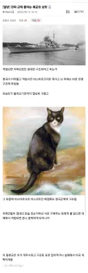 진짜 근데 뽕차는 해군의 낭만