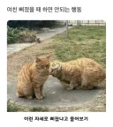 여친이 삐졌을 때 하면 안 된다는 행동
