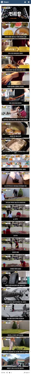 캐나다로 이민 간 한국인이 다시 돌아온 이유.jpg