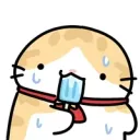 이란 - 미국 전쟁땜에 유튜브로 중동 컨텐츠 자주보니까