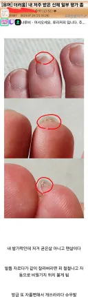 비밀기지 자유이용권 끊어주는 저주받은 발톱.jpg