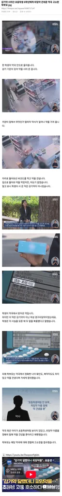 초등학생 피임약 판매사건 여초반응