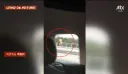 사건반장에 나온 꿀벌 복장 입는 이유